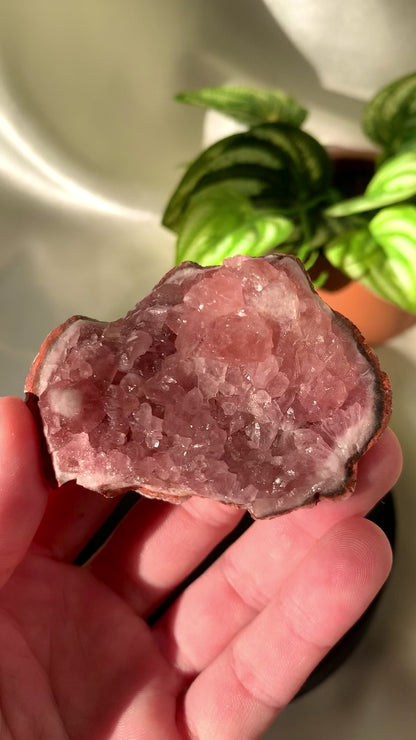 Pink Amethyst Geode