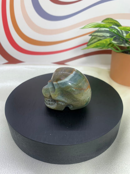 Ocean Jasper Skull