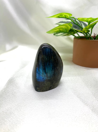 Labradorite Freeform