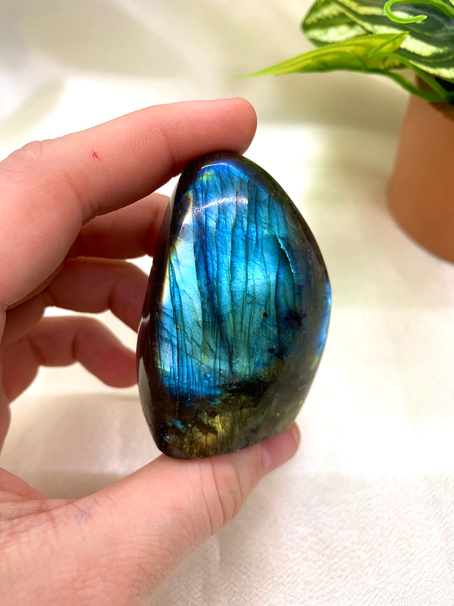 Labradorite Freeform