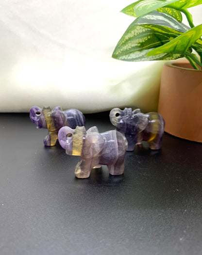 Rainbow Fluorite Elephant