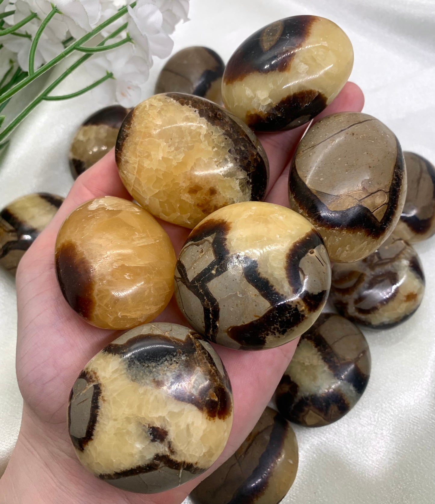 Septarian Palm Stone