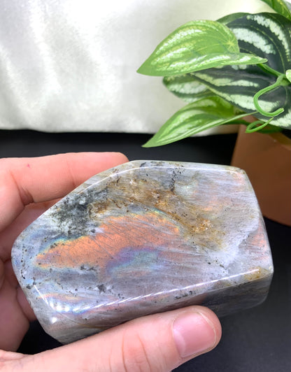 Orange Flash Labradorite Freeform