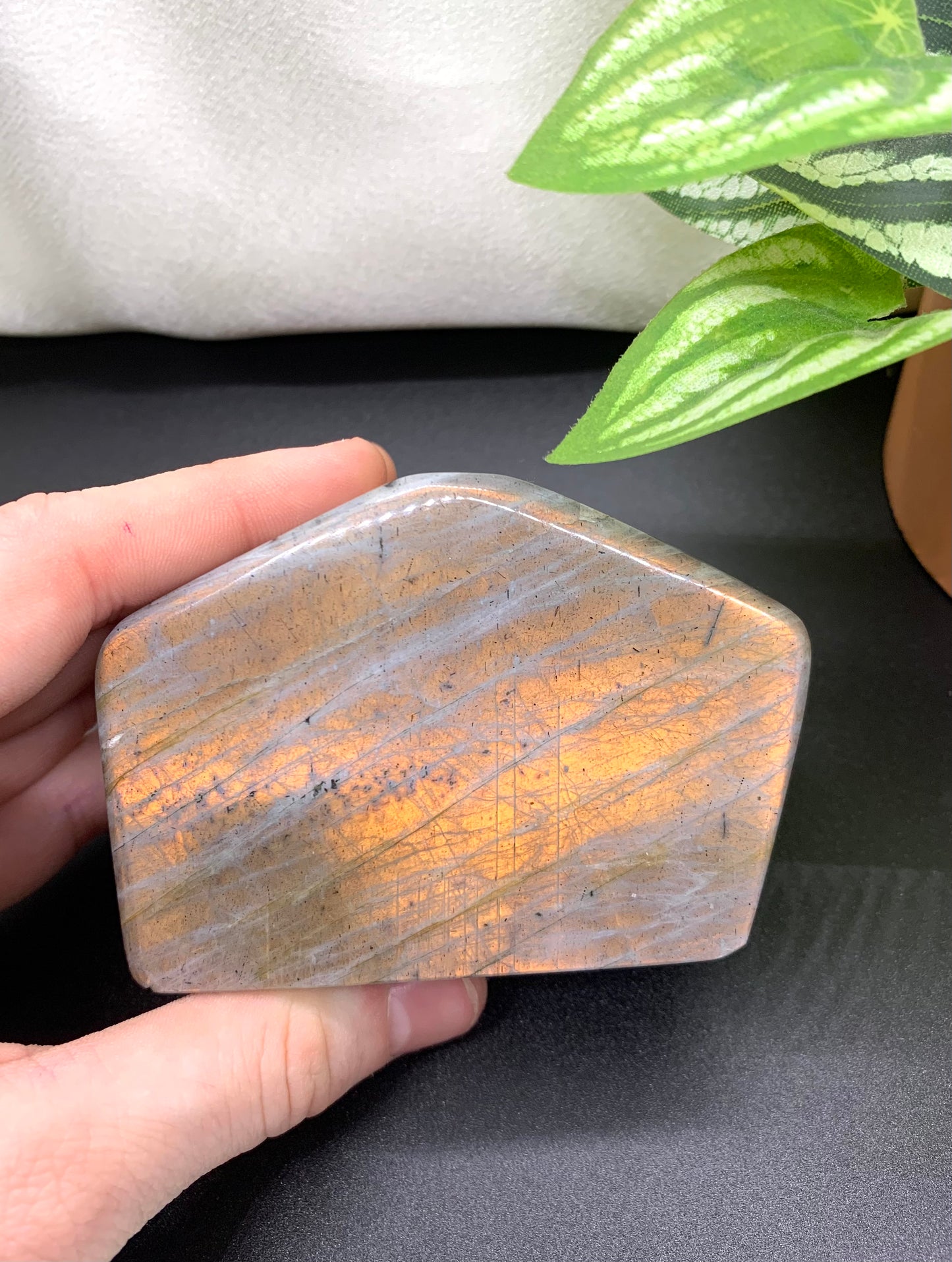 Orange Flash Labradorite Freeform