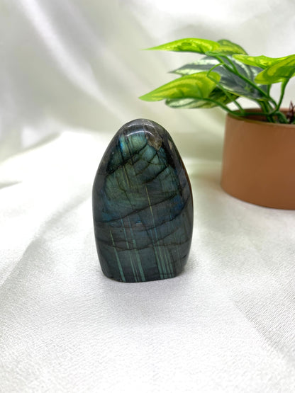 Labradorite Freeform