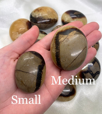 Septarian Palm Stone